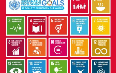 Online-Veranstaltung „Zukunftsfähige Lehre für eine nachhaltige Entwicklung“